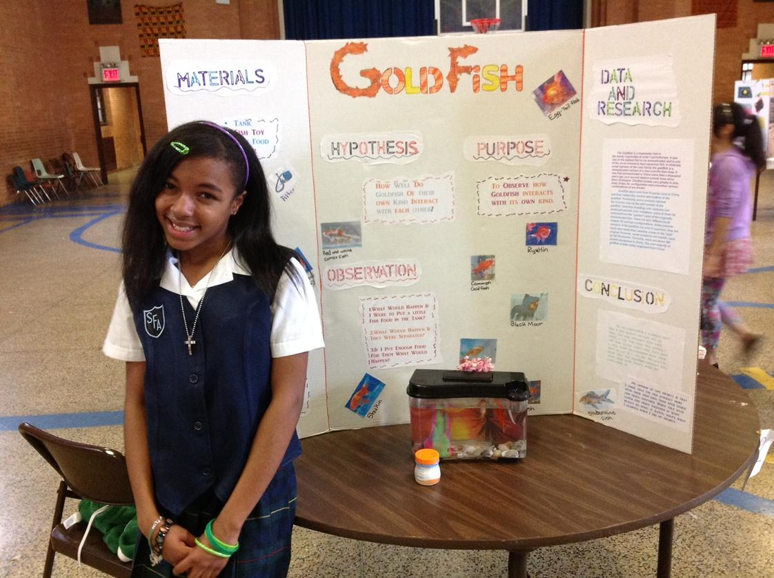 St. Francis Of Assisi Catholic Academy (Top-Ranked Private School throughout Brooklyn Catholic Schools Calendar 2026 - 2027